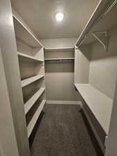 Walk in closet with dark carpet