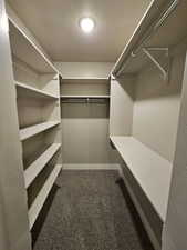 Spacious closet featuring dark carpet