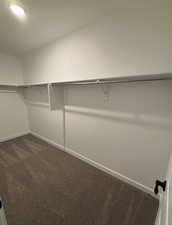 Walk in closet featuring dark carpet