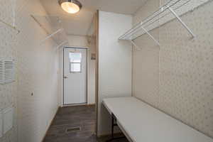 Spacious closet with dark wood-type flooring