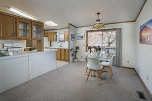 Carpeted dining space featuring crown molding, a skylight, sink, and a textured ceiling