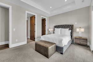 Carpeted bedroom featuring a raised ceiling