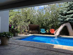 View of pool with a patio and a water slide