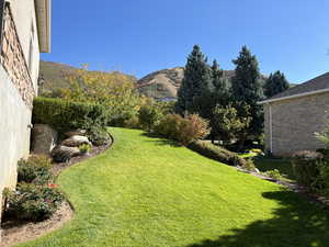 View of yard with a mountain view