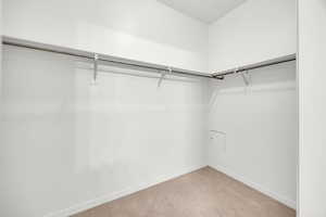 Walk in closet with light colored carpet