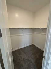 Spacious closet featuring carpet