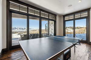 Game room with dark wood-type flooring, a mountain view, and a wealth of natural light