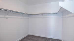 Spacious closet featuring dark colored carpet