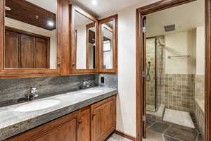 Bathroom featuring vanity, an enclosed shower, and backsplash