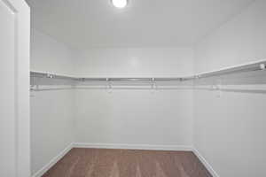 Spacious closet with carpet flooring