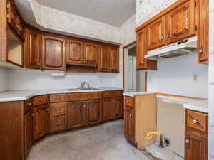 Kitchen with sink and a textured ceiling