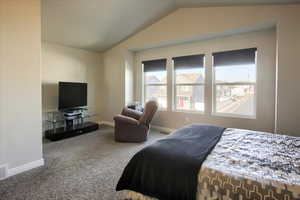 Carpeted bedroom featuring lofted ceiling