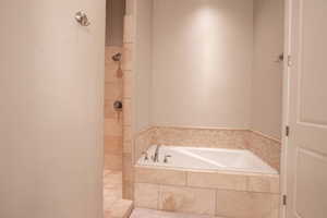 Master Bathroom with independent shower and bath