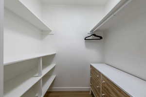 Spacious closet with hardwood / wood-style floors