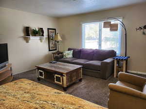 Living room featuring dark carpet and a textured ceiling