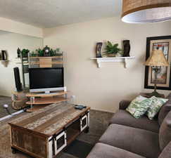 Carpeted living room with a textured ceiling