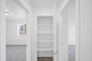 Walk in closet with carpet