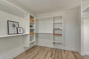 Walk in closet featuring light wood-type flooring