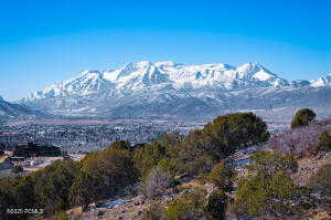 Mount Timpanogos