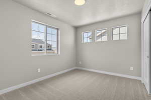 View of carpeted spare room