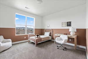 Carpeted bedroom with a mountain view