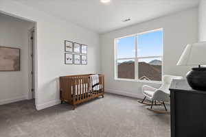 Bedroom featuring carpet floors