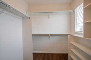 Spacious closet featuring dark hardwood / wood-style floors