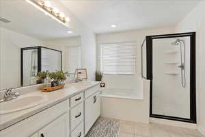 Ensuite with Shower and separate garden tub.