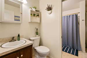 Bathroom with vanity, toilet, and curtained shower