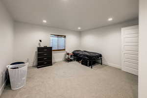 Bedroom with light carpet