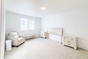 Bedroom featuring light colored carpet