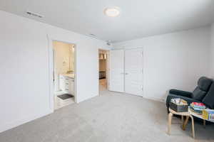 Sitting room with sink, light carpet, and a textured ceiling