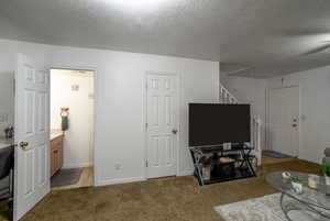 Living room featuring carpet and a textured ceiling