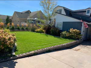 Summer time look of the front yard and landscaping