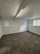 Basement bedroom #2