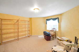 Miscellaneous room with carpet flooring and a textured ceiling