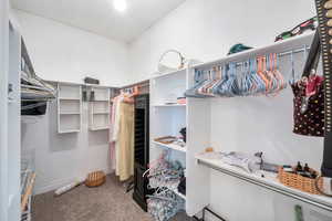 Spacious closet featuring carpet floors