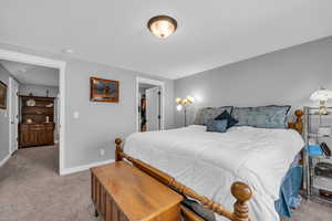 MIL apartment bedroom featuring a spacious closet and light colored carpet