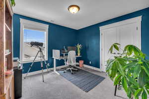 Bedroom featuring carpet