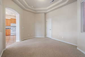 Spare room featuring light colored carpet, a raised ceiling, and a high ceiling