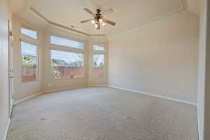 Unfurnished room featuring light carpet, a raised ceiling, and ceiling fan