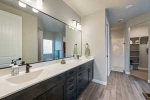 Bathroom featuring wood-type flooring and vanity