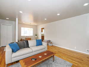 Living room featuring wood-type flooring