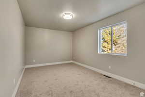 Unfurnished room with carpet floors