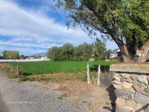 View of yard featuring a mountain view and a rural view