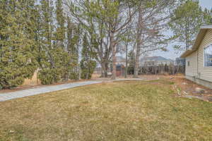 View of yard featuring a storage shed