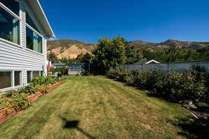 View of the yard featuring mountain views,  planter boxes, drip system, and greenhouse.  Photo taken last Fall.