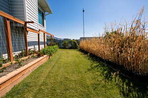 View of the yard with planter boxes, drip system, and greenhouse.  Photo taken last Fall.