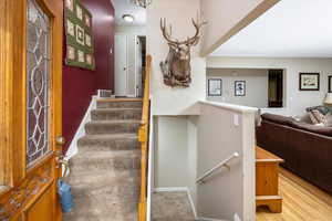 Staircase with wood-type flooring