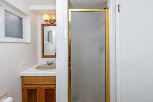 Bathroom with vanity and a shower with shower door